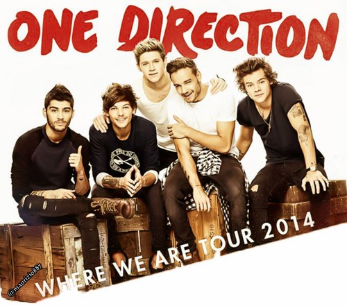 one direction Tour 2014 - one-direction Photo